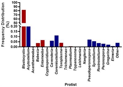 Diversity and composition of gut protist in young rural Zimbabwean children
